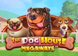 jun88tv: The Dog House Megaways